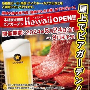 プラザホテル豊田 本格炭火焼肉ビアガーデン「Hawaii」