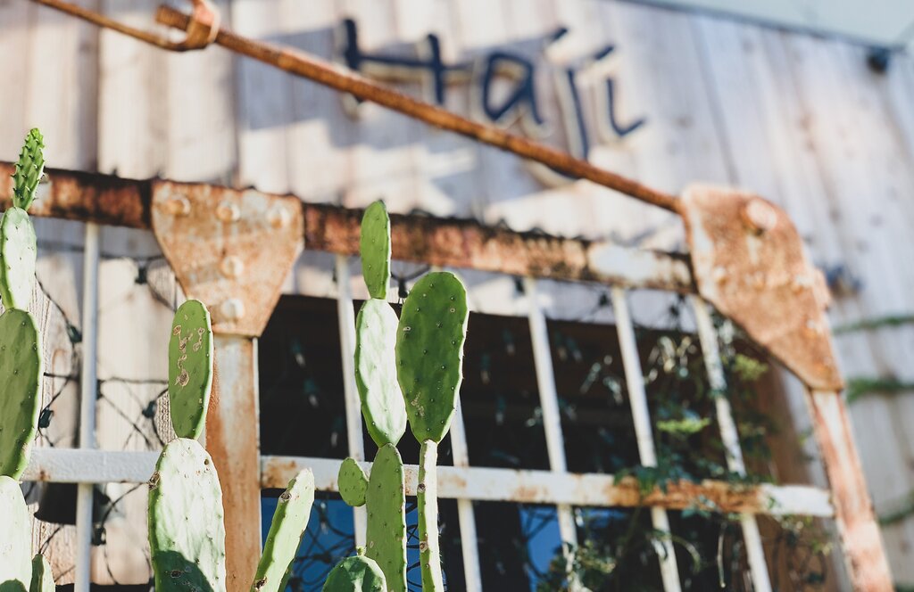 Kobe harbor kitchen Haji ビアガーデンフライヤー