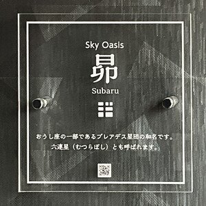 【京都/下京区】Sky Oasis 昴 ビアガーデン 2024